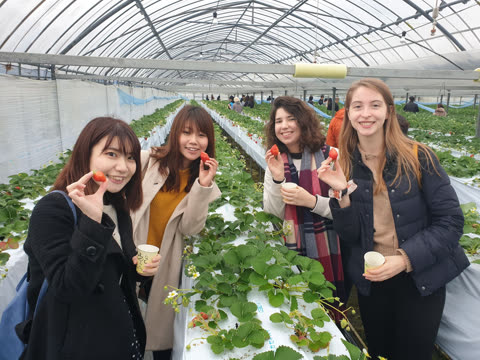Four women hold strawberries in a greenhouse.